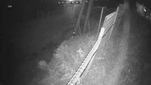 Caméra IP - República de Corea