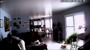 Caméra IP - Estados Unidos