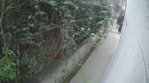 Caméra IP - Georgia