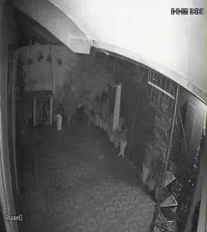 Caméra IP - Bolivia