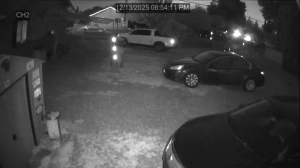 Caméra IP - Vereinigte Staaten von Amerika