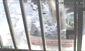 Caméra IP - Argentina