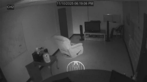 Caméra IP - United States of America