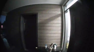 Caméra IP - Australia