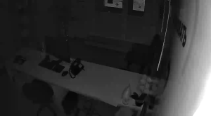 Caméra IP - Russische Föderation