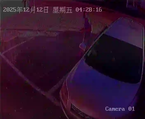 Caméra IP - Trinité-et-Tobago