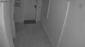 Caméra IP - Germany