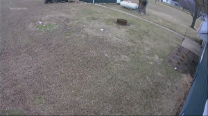 Caméra IP - Vereinigte Staaten von Amerika