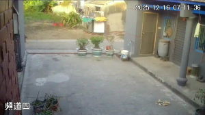 Caméra IP - Taiwán