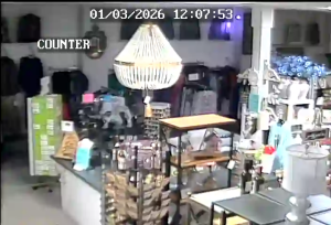 Caméra IP - États-Unis d'Amérique