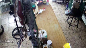 Caméra IP - Porto Rico