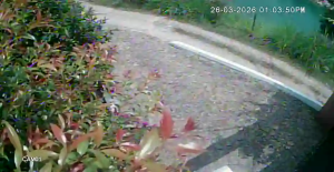 Caméra IP - Colombia