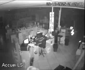 Caméra IP - Francia