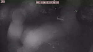 Caméra IP - Guatemala