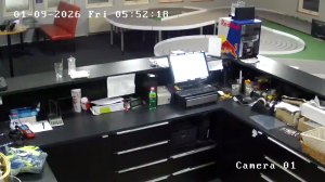 Caméra IP - Dänemark