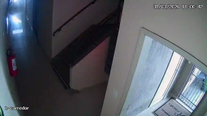 Caméra IP - Brasilien