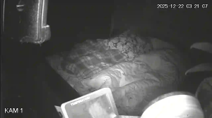 Caméra IP - Lituania