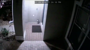 Caméra IP - United States of America