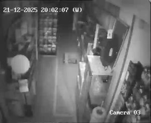 Caméra IP - España