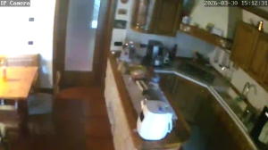 Caméra IP - Stati Uniti d'America