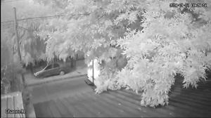 Caméra IP - Argentina