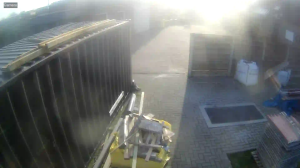 Caméra IP - Belgium