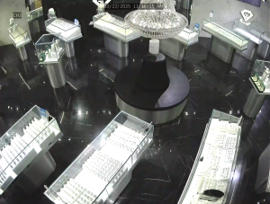 Caméra IP - Stati Uniti d'America