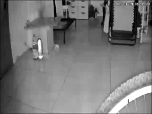 Caméra IP - Malaysia