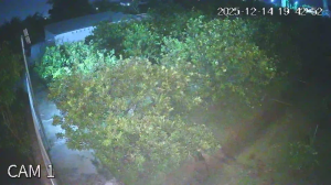 Caméra IP - Vietnam