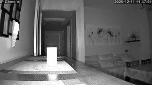 Caméra IP - Espagne