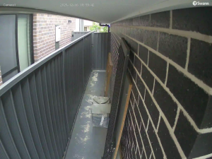 Caméra IP - Australien