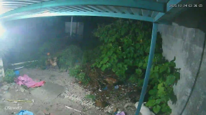 Caméra IP - México