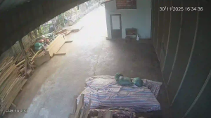 Caméra IP - Vietnam