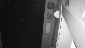 Caméra IP - Ucraina