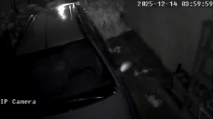 Caméra IP - Argentina