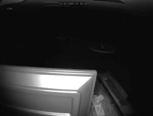 Caméra IP - United States of America