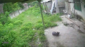 Caméra IP - México