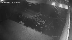 Caméra IP - Dinamarca