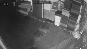 Caméra IP - South Korea