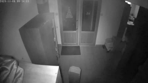 Caméra IP - Russische Föderation