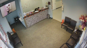 Caméra IP - Estados Unidos