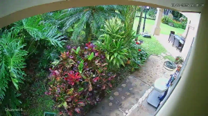 Caméra IP - Costa Rica