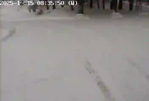 Caméra IP - Australie