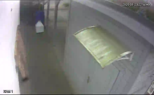 Caméra IP - Polonia