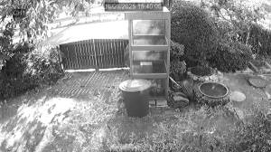 Caméra IP - South Korea