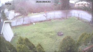 Caméra IP - États-Unis d'Amérique