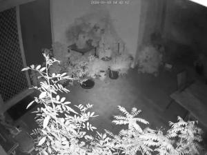 Caméra IP - Australia