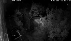 Caméra IP - United Kingdom