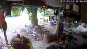 Caméra IP - Thailand