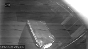 Caméra IP - Singapore